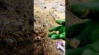 Tried To Extract Rare Stones Embedded In The Hill #viral #shorts #gemstone