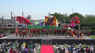 愛知淑徳大学「鳴踊」 2024　犬山踊芸祭　新曲初披露　「ど踏ん張れ！！」 　メイン会場　6月1日　1日目審査A　14番目　第２０回犬山踊芸祭