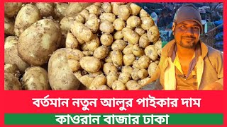 আজকের বাজারে নতুন আলুর দাম কতো | আজকে আলুর পাইকারি বাজার দর কতো | today potato market price bd 2025