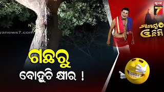 ଗଛରୁ ବୋହୁଚି କ୍ଷୀର ! | Maganna Oligi | Prameya News7