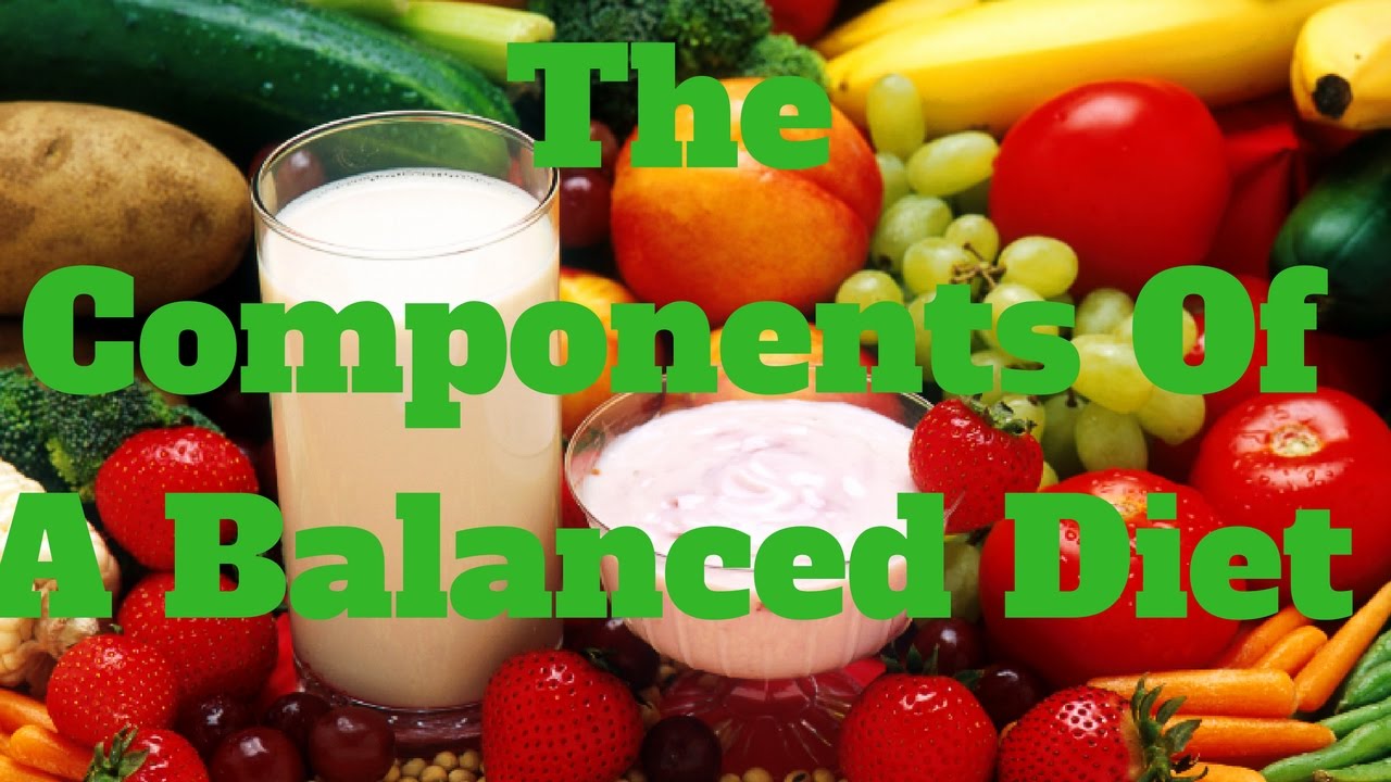 The Components Of A Balanced Diet - YouTube