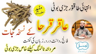 Akarkara ke fayde | Pellitory Root | Akarkara Benefits in Male Timing, Epilepsy and Inflammation