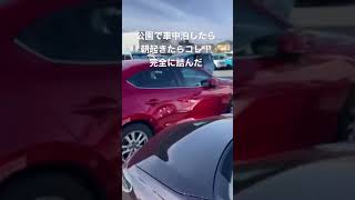 公園で車中泊！朝起きたらこれ！完全に詰んだ！迷惑駐車、流石にこれは泣。どうすれば！他の人も警察呼んでたけど、1時間位、どかすのにかかってた、駐車トラブル、駐車場トラブル、自業自得、マジか、恐怖