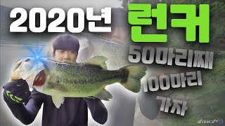 배스낚시 시즌49호50호런커 이제100마리 까지 반남았다! - bass fishing- バス釣り