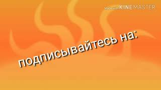 Рекомендую каналы!