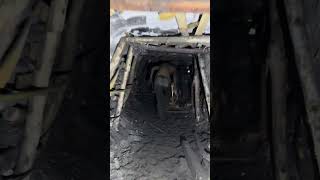 Brave man firimg explosive in a coal mine    🥶🥶🥶