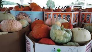 Amish Produce Auction