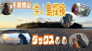 千葉館山　沖ノ島探検🐾【ダックス】