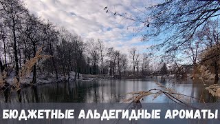 Бюджетные альдегидные ароматы для морозной зимы ❄️