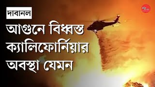 ফিলিস্তিনে বোমা এখানে ভয়াবহ দাবানল হবে পুড়ছে যুক্তরাষ্ট্রের লস অ্যাঞ্জেলেস। দৈনিক নতুন কন্ঠস্বর#news