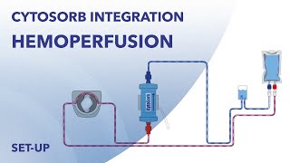 Hemoperfusion set up for stand alone application of CytoSorb