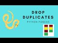 Python Pandas - Remove duplicates, keep rows with maximum data