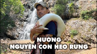 NƯỚNG NGUYÊN CON HEO RỪNG ĐẮT TIỀN CHỈ ĐỂ NHẬU CHƠI