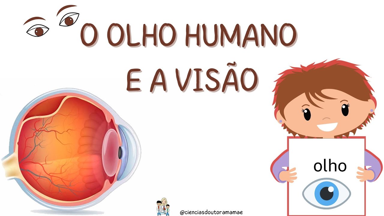 O Olho Humano E A Visão 6 Ano - YouTube