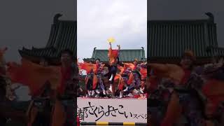 #鳴子踊りチームひなた #京都さくらよさこい２０２４ #第２０回京都さくらよさこい #２日目 #KYOTO_SAKURA_YOSAKOI_2024 #撮影取材許可取得済 #さくよさ