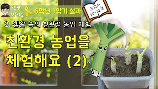 [6-1 실과] 2-2-2 친환경 농업을 체험해요(2)