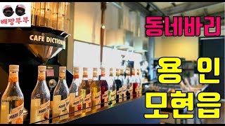 바이크 타고 용인 동네바리/ 바이크여행 c650gt