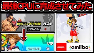 【検証】最強CPUカズヤに「ソラamiibo」育成させたらどうなる？？【スマブラSP】