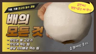 [월간과일] 맛있는 배의 모든 것을 알려드려요 - 칼로리 외 10% 밖에 못 섭취한 영양분 100% 섭취하기, 맛있는 배 고르기, 배 맛있게 먹기, 건강한 배 고르기