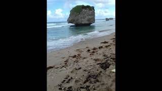 Bathsheba