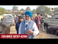 ਮੱਝ ਦੇ ਥਣ ਠੀਕ ਕਰਨ ਦਾ 35 ਸਾਲ ਪੁਰਾਣਾ ਤਜਰਬਾ apnakitta dairyfarm cow balkar 2024