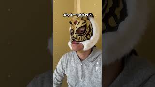 マシュマロタッチ®︎扇塗り❗️前編🐯　#塗り壁　#家づくり