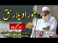 Molana M.Idrees Sahb New Bayan - Mor O Plar ehtaramمولانا محمد ادریس صاحب نوے بیان