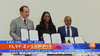 የጠቅላይ ሚኒስትር ዐቢይ አህመድ የደቡብ አፍሪካ ጉብኝትና ሌሎች ዘገባዎች ኢቢኤስ አዲስ ነገር EBS What's New January 10, 2020