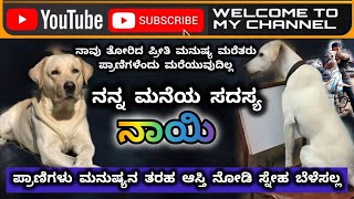 #ನಾಯಿ_ 🐕 ನಾವು ತೋರಿದ ಪ್ರೀತಿ ಮನುಷ್ಯ ಮರೆತರು ನಾಯಿ ಮಾತ್ರ ಮರೆಯುವುದಿಲ್ಲ. ||karma CREATION|| @dog lover_🐕