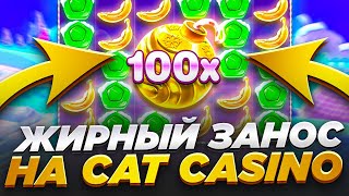 Cat Casino 🎲 Онлайн Казино с БЫСТРЫМ ВЫВОДОМ 🎲 ЗЕРКАЛО и ПРОМОКОД