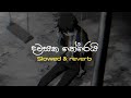 එයාව මතක් කරන ගමන් අහන්න 🎵 slowed reverb sinhala songs collection part 1