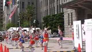 【夢舞隊2011】さくらよさこい