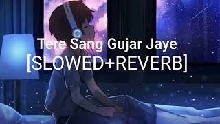 Tere Sang Gujar Jaye [Slowed+Reverb] Song | Lofi Songs |