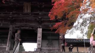 高雄 神護寺 楼門前 その3 京都の紅葉名所　Jingo-ji Temple Takao autumn leaves attractions in Kyoto part.3