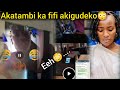 Akatambi ka fifi akobusegu bwati akigudeko bambi ekiri eno bitabuse