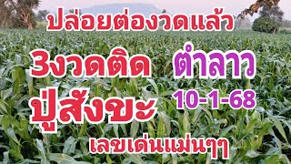 📌🇱🇦 3งวดติด ปู่สังขะ🙏 เลขเด่นแม่นมาก อย่าเผลอระวัง3ตัวแตก#ลาวพัฒนา #เลขแม่นๆ#10-1-68