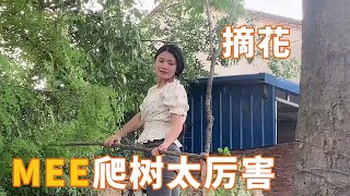 老挝媳妇嫁到中国这么多年，没想到她爬树这么厉害！【老挝美女MEE】