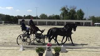 Marcell Balázs DANI (HUN) - CAI***, H2, Dunajský Klátov (Slovakia), dressage, 25 May 2023