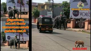 Elephant attacked by Mahout!!! கேரளா: திருவம்பாடி பெண் யானையின் தலையிலே பயங்கரமாக தாக்கும் பாகான்