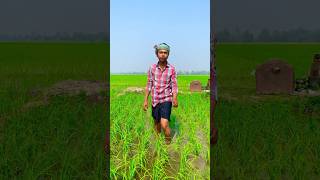 জমির দাম বারছে আর কৃষক এর দাম কমছে #shorts #farmer #youtubeshorts