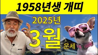 2025년 3월 운세 [1958년생 개띠] #1958년생운세 #개띠운세 #이달의운세 #58년개띠 #을사년 #을사년운세 #개띠을사년운세 #3월운세