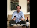 Carmenere Gran Reserva Morandé 2018 English sub