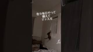 我が家の新人自宅警備員猫#shorts