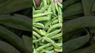 NTR market wholesale vegetable rate's #like#viralvideo #shorts