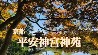 京都 秋の平安神宮神苑🍁 【京都の庭園を巡る】 Heian-jingu Shrine 2021/10