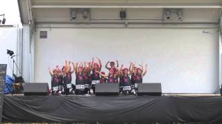 NiMoLi Crew - St Louis World Fare 2015