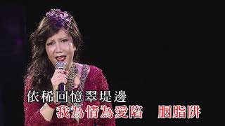 麗莎丨絲絲淚丨最愛麗莎全經典演唱會