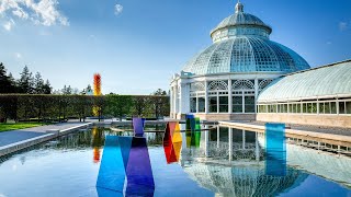 Chihuly at New York Botanical Garden | Koda Study #3