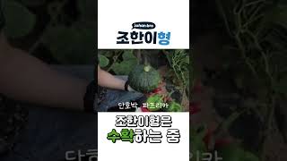 👨‍🌾힘든 농사일에 수확은 기쁨❤️👍 #shorts