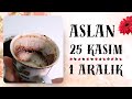 ASLAN BURCU 25 KASIM  - 1 ARALIK 2024 KAHVE FALI ( Haftalık Burç Yorumları )